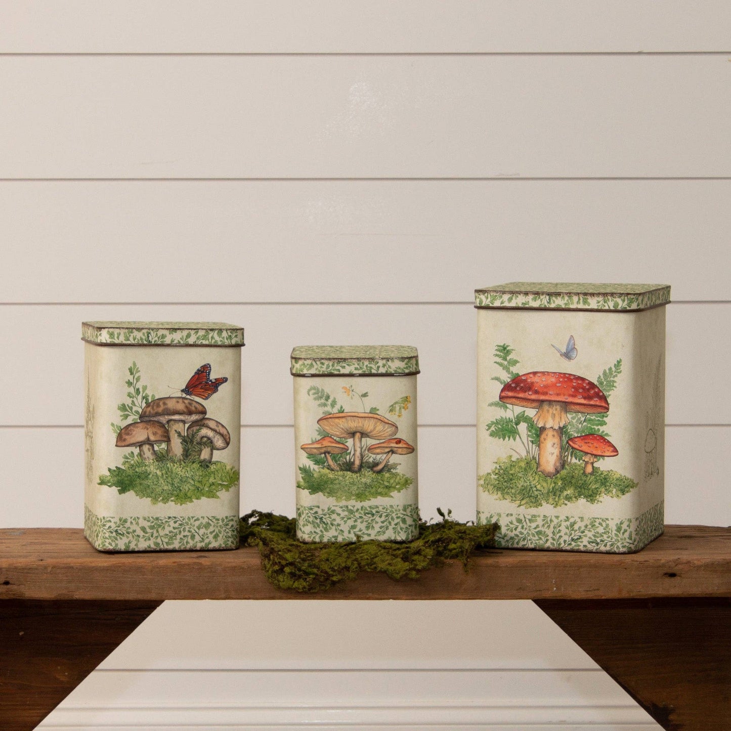Audrey's - Nesting Tins - Mushroom Forest (Set Of 03)