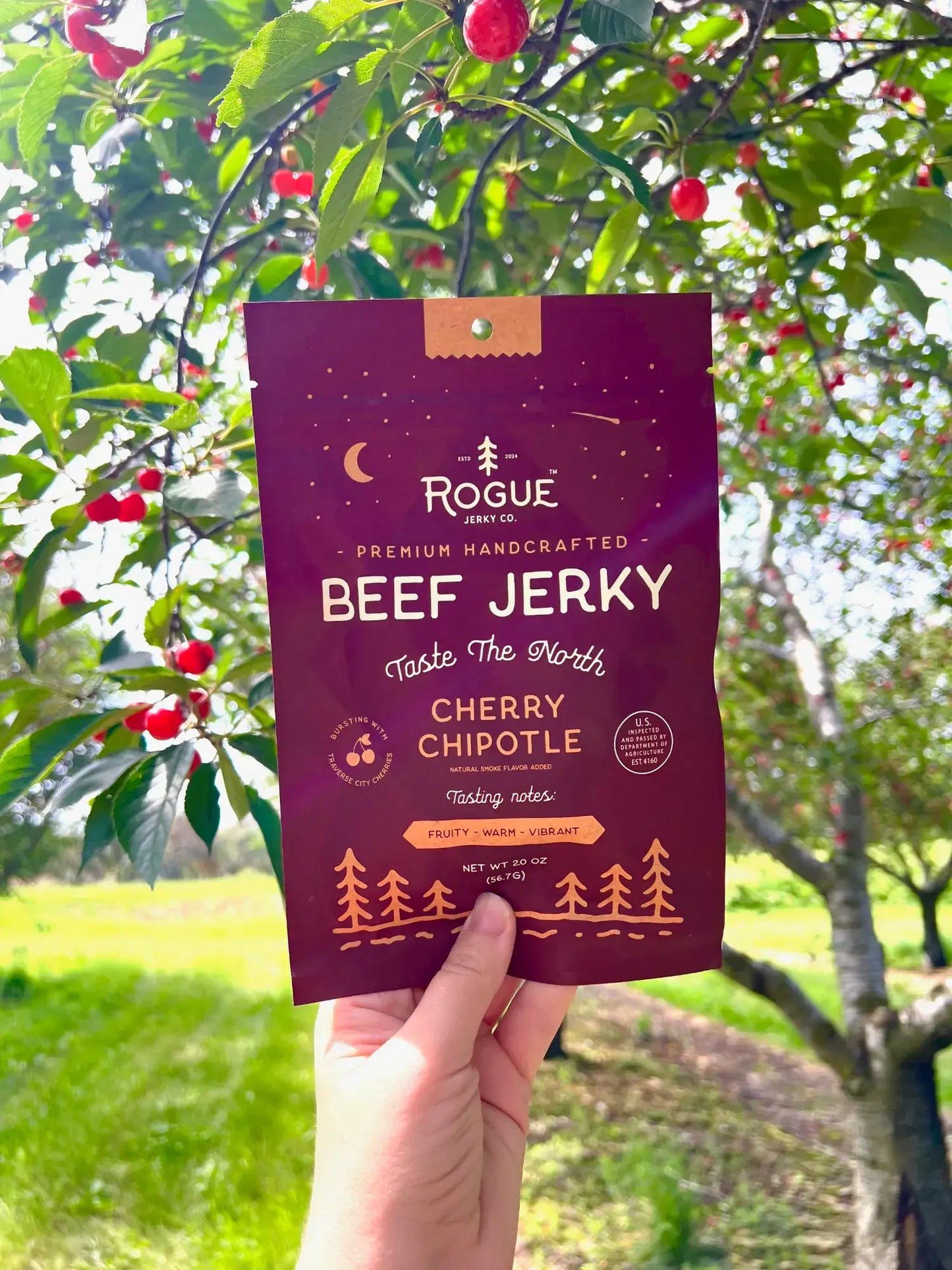 Rogue Jerky Co. -  4 Flavors - Premium Jerky