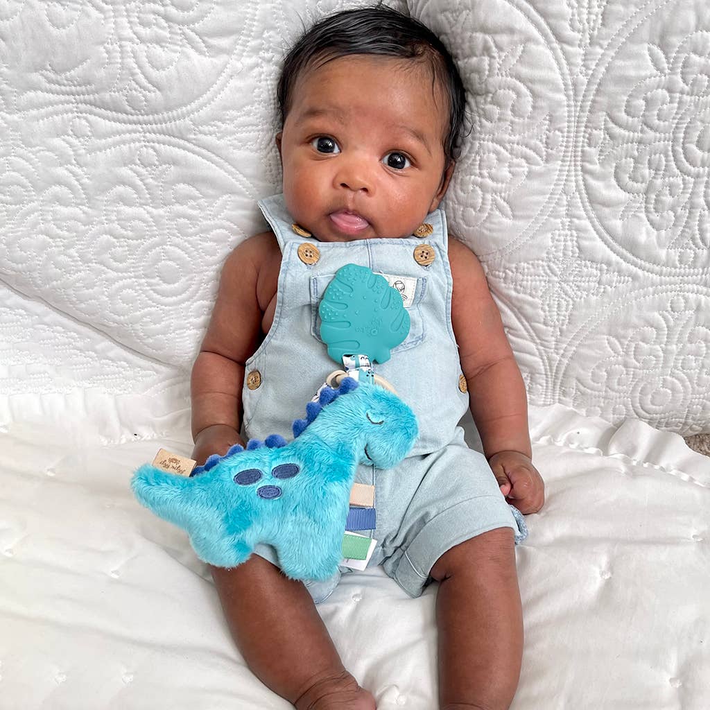 Itzy Ritzy - Itzy Pal™ Plush + Teether